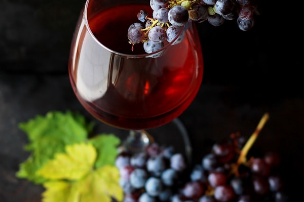 Italian Barolo red wine bottle